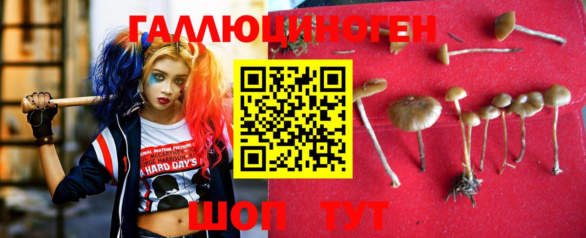 Бошки Шишки  Гашиш  АМФЕТАМИН кристаллы  Вход с VPN  Саров  ГАШ  Мефедрон кристаллы  Кокаин 