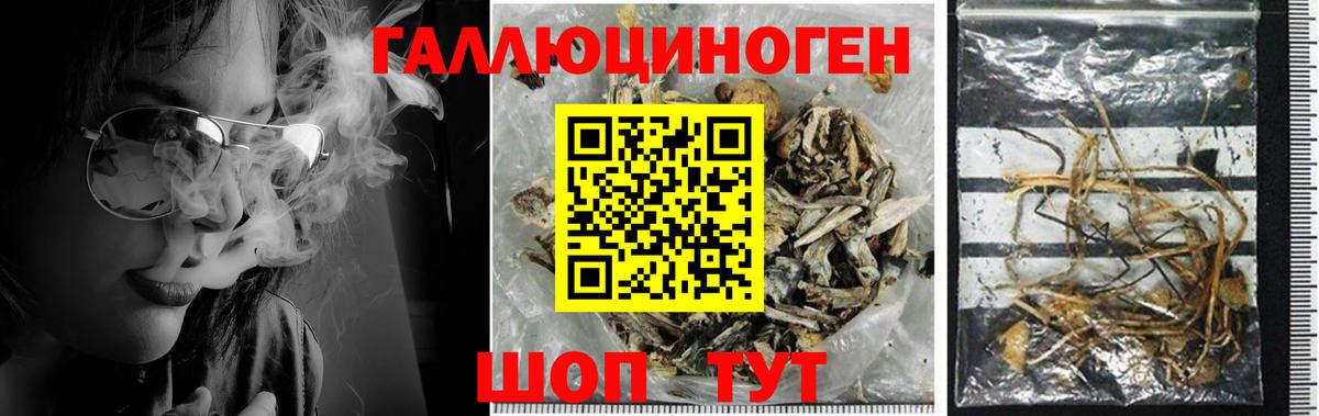 Псилоцибиновые грибы ЛСД Саров