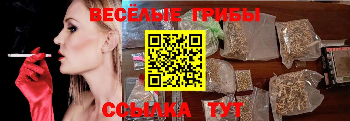 Саров  Псилоцибиновые грибы мицелий  Псилоцибиновые грибы Cubensis  Вход с VPN 